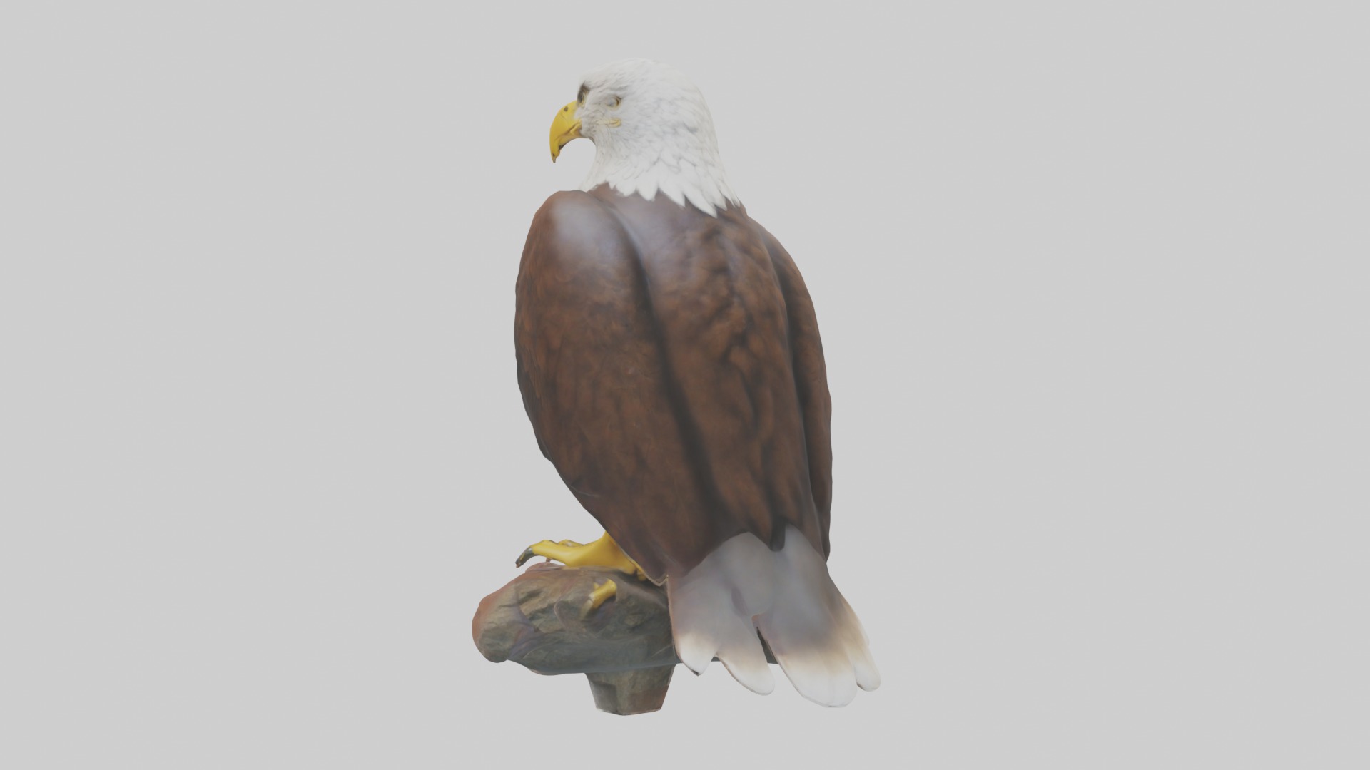Standing Eagle Model Low-poly 3D model_2
