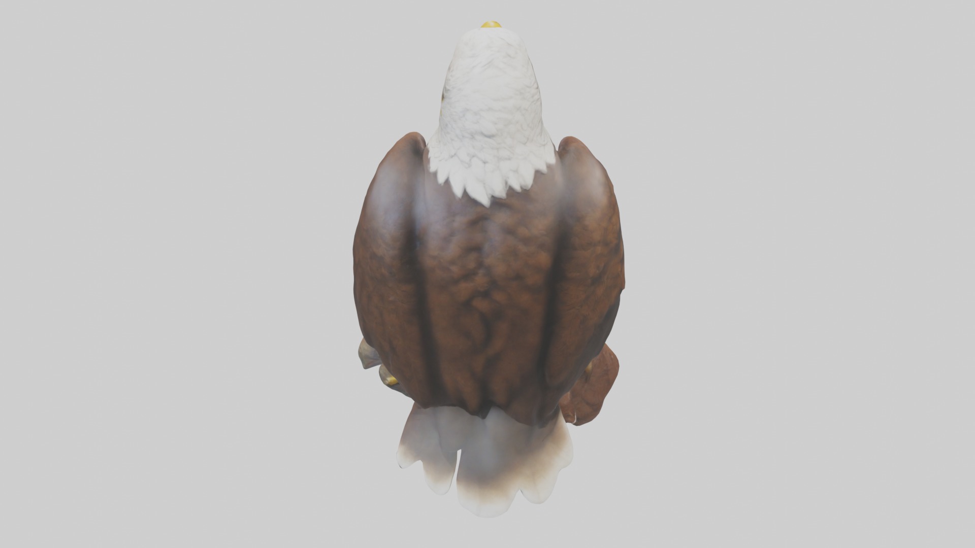 Standing Eagle Model Low-poly 3D model_9