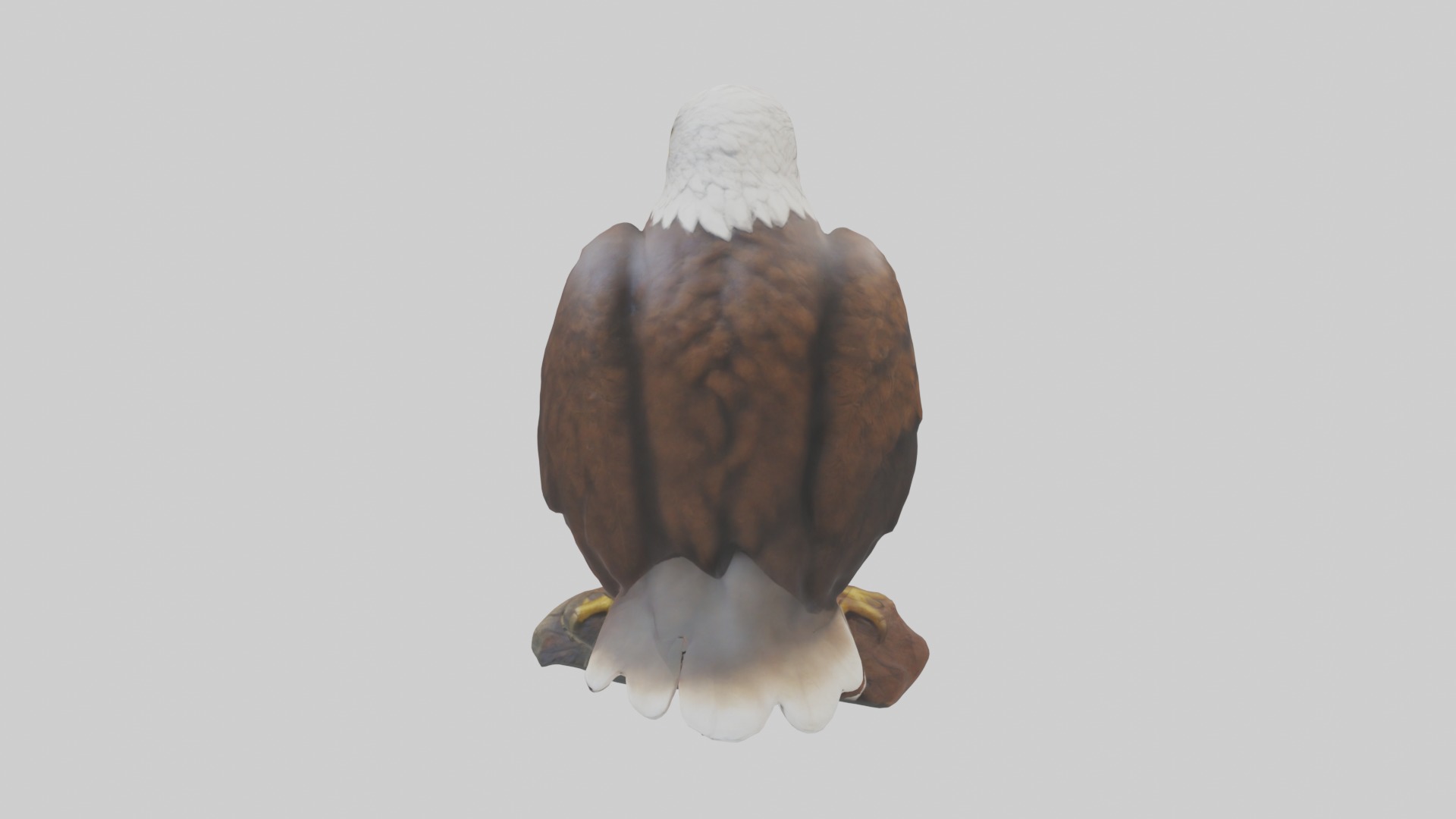Standing Eagle Model Low-poly 3D model_1