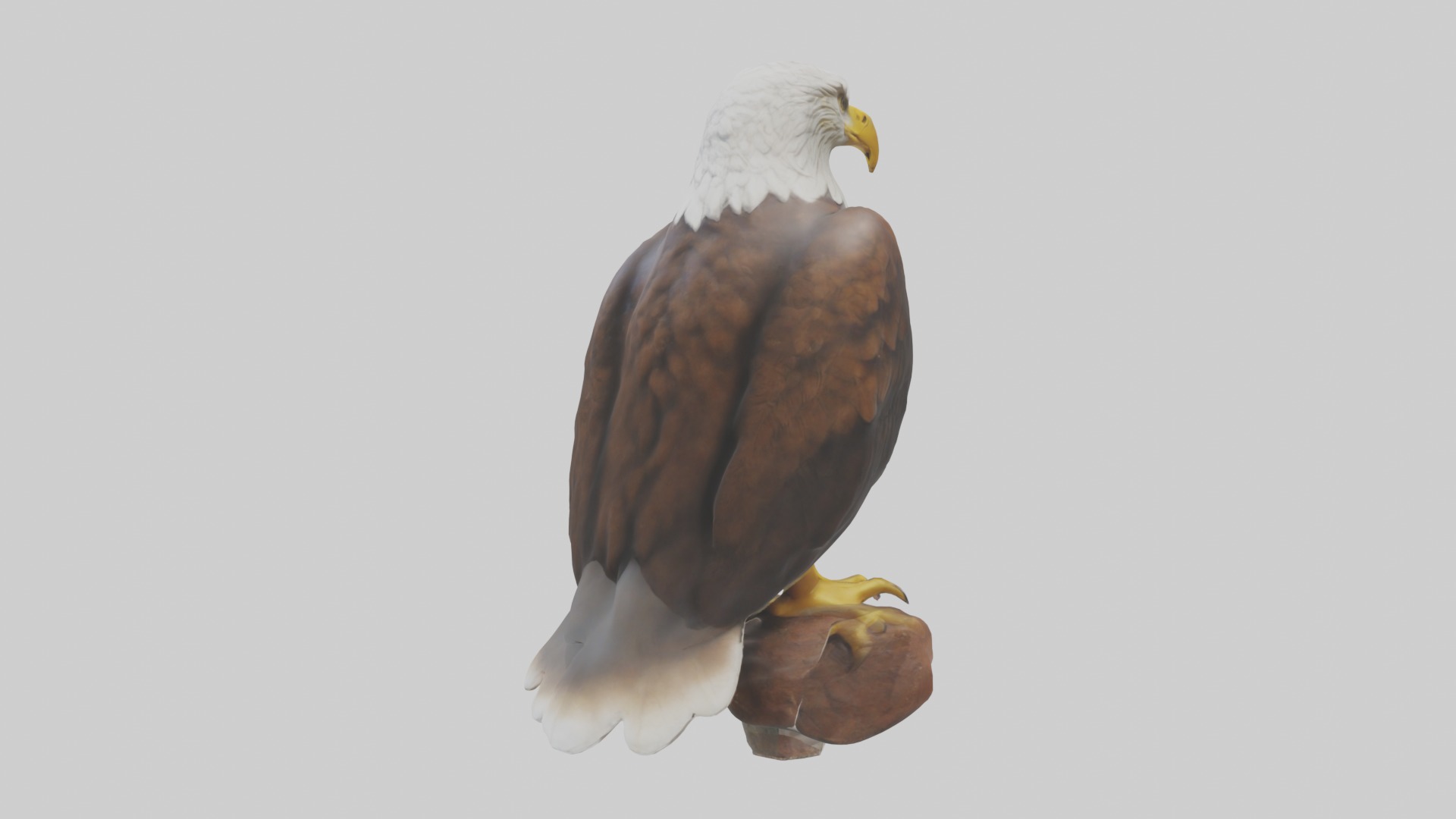 Standing Eagle Model Low-poly 3D model_3