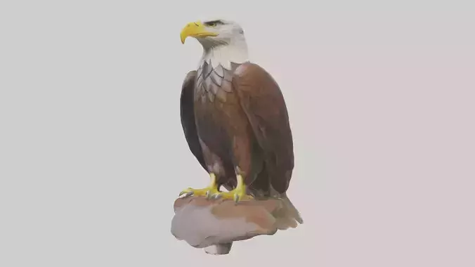 Standing Eagle Model