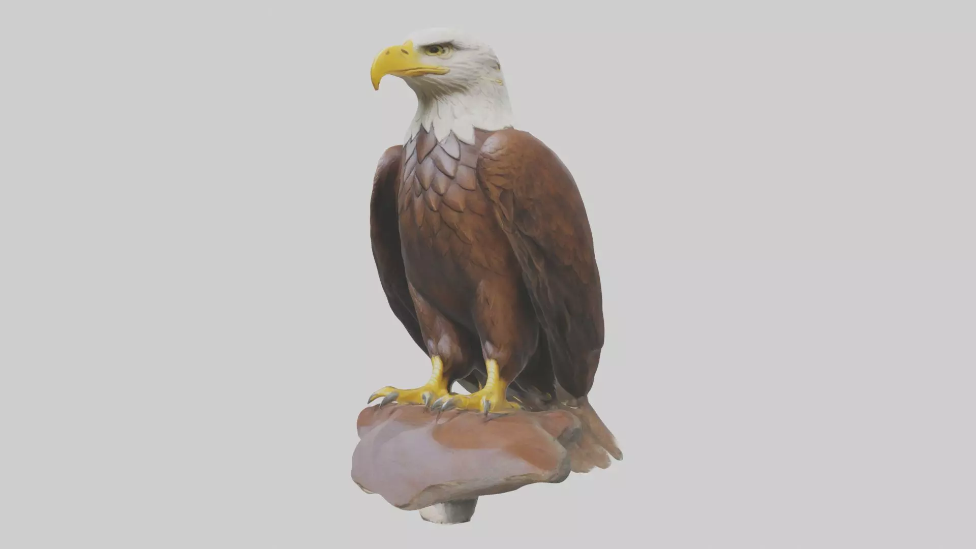 Standing Eagle Model Low-poly 3D model_0