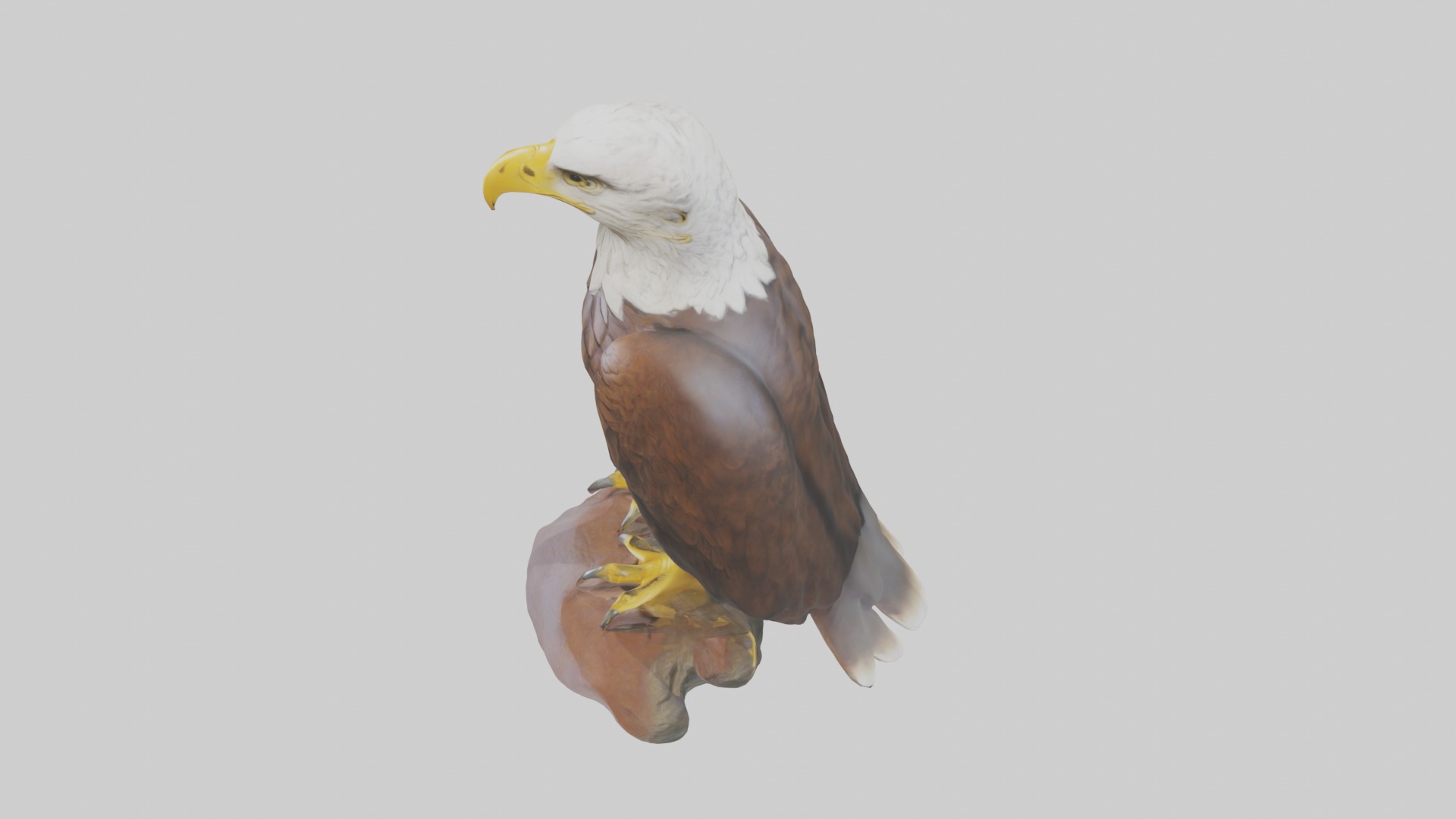 Standing Eagle Model Low-poly 3D model_11