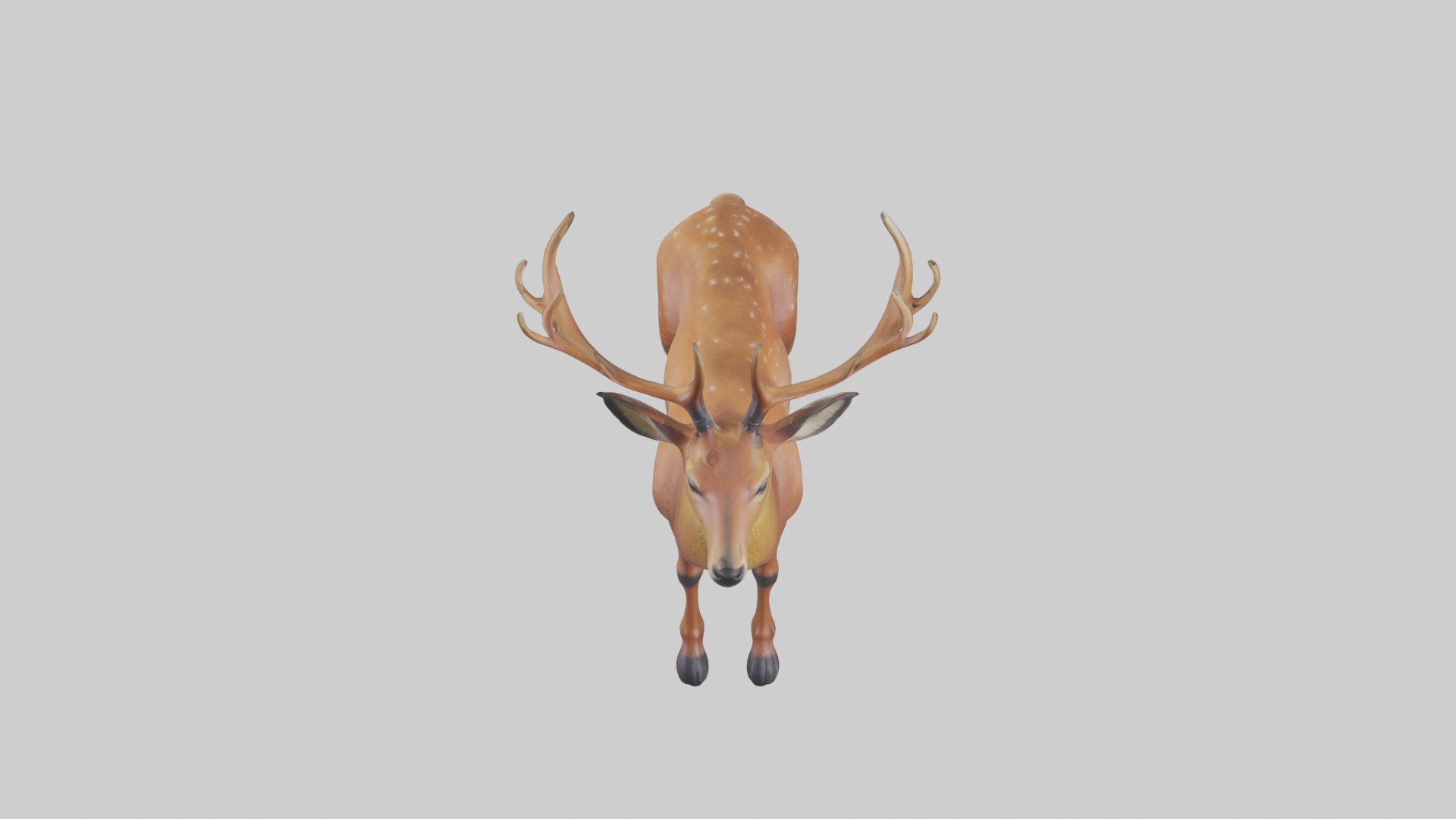 Standing Deer Model Low-poly 3D model_10