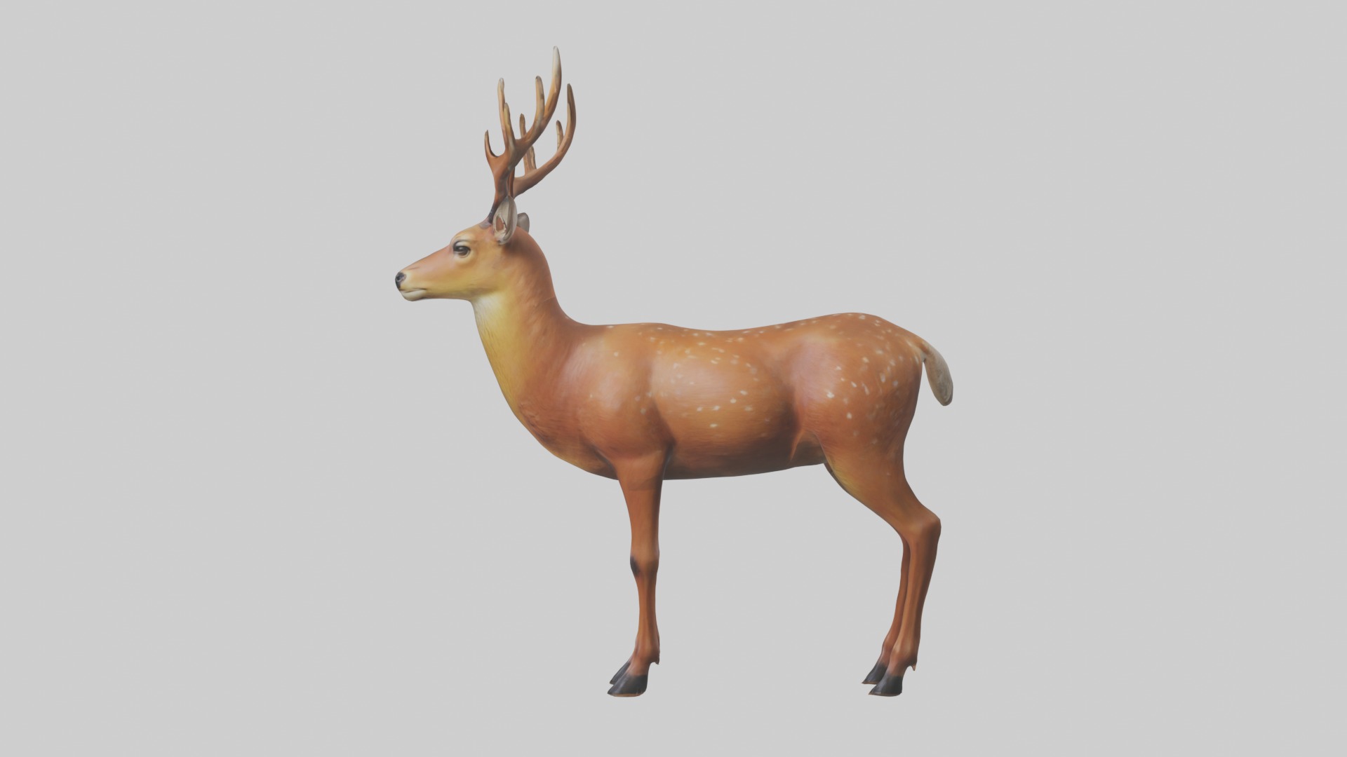 Standing Deer Model Low-poly 3D model_6