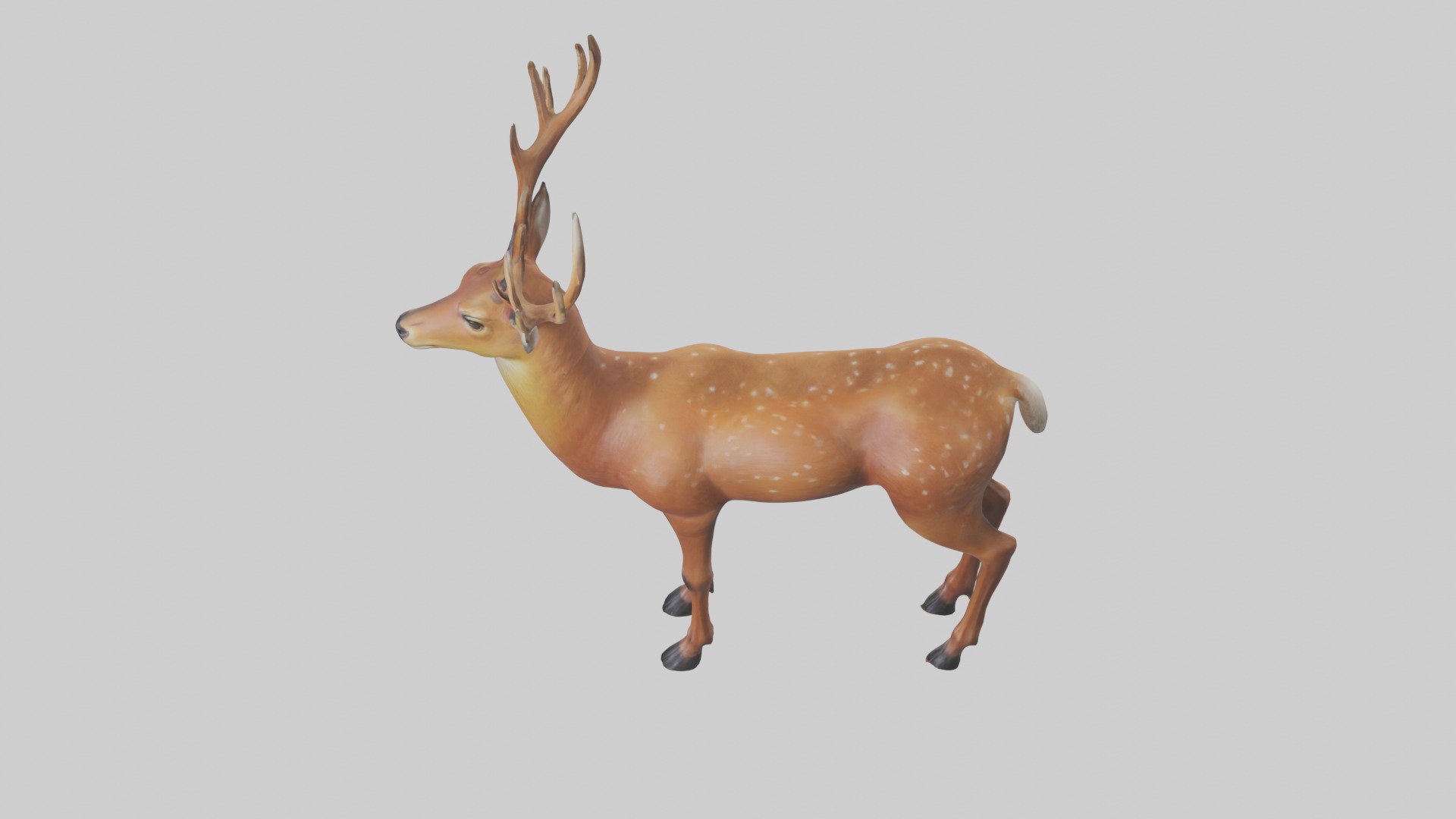 Standing Deer Model Low-poly 3D model_11