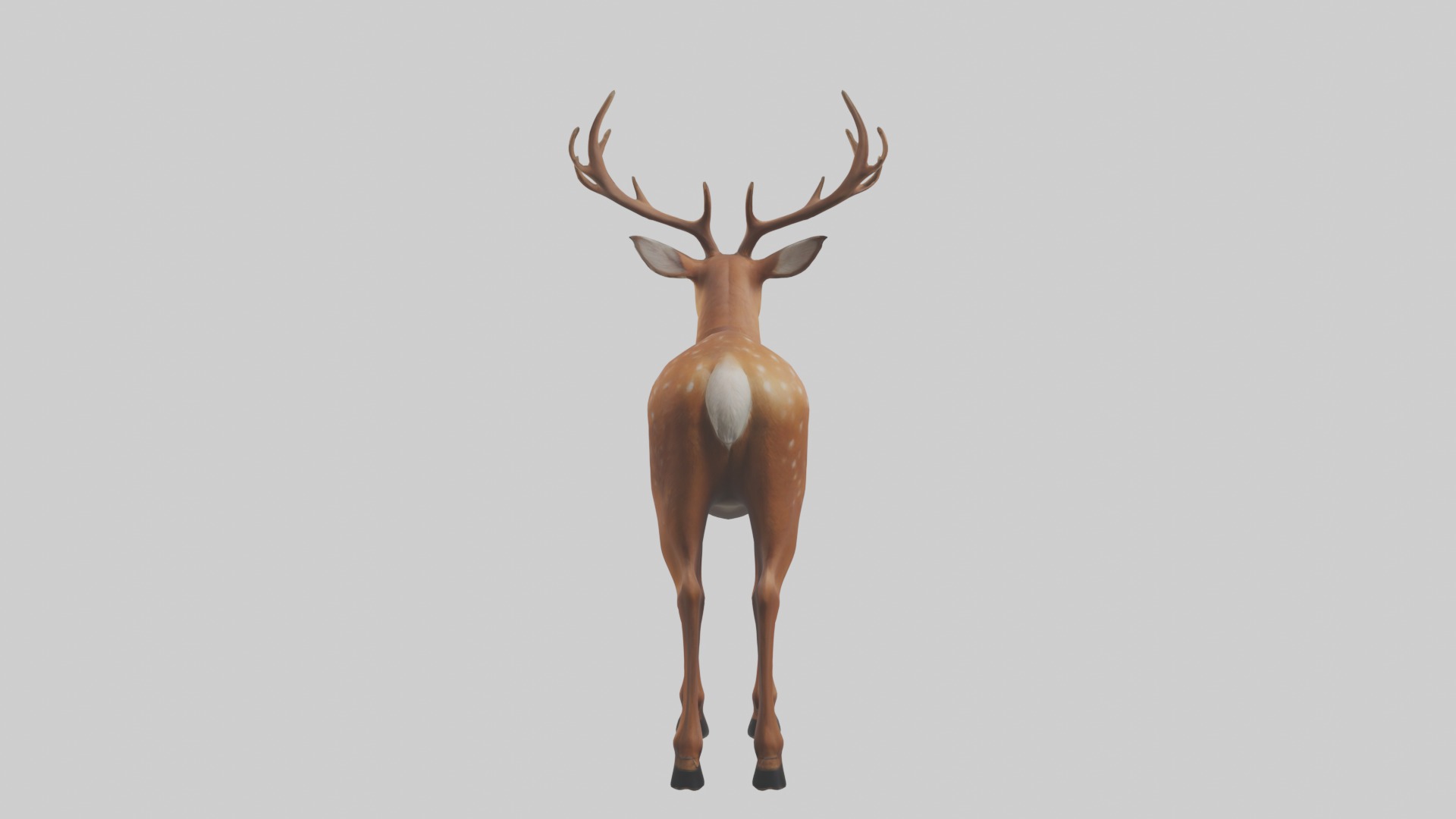 Standing Deer Model Low-poly 3D model_3