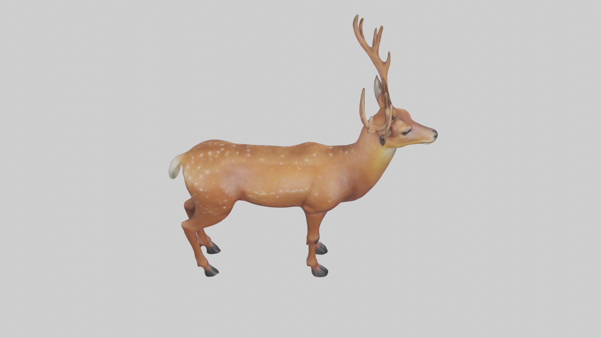 Standing Deer Model Low-poly 3D model_12