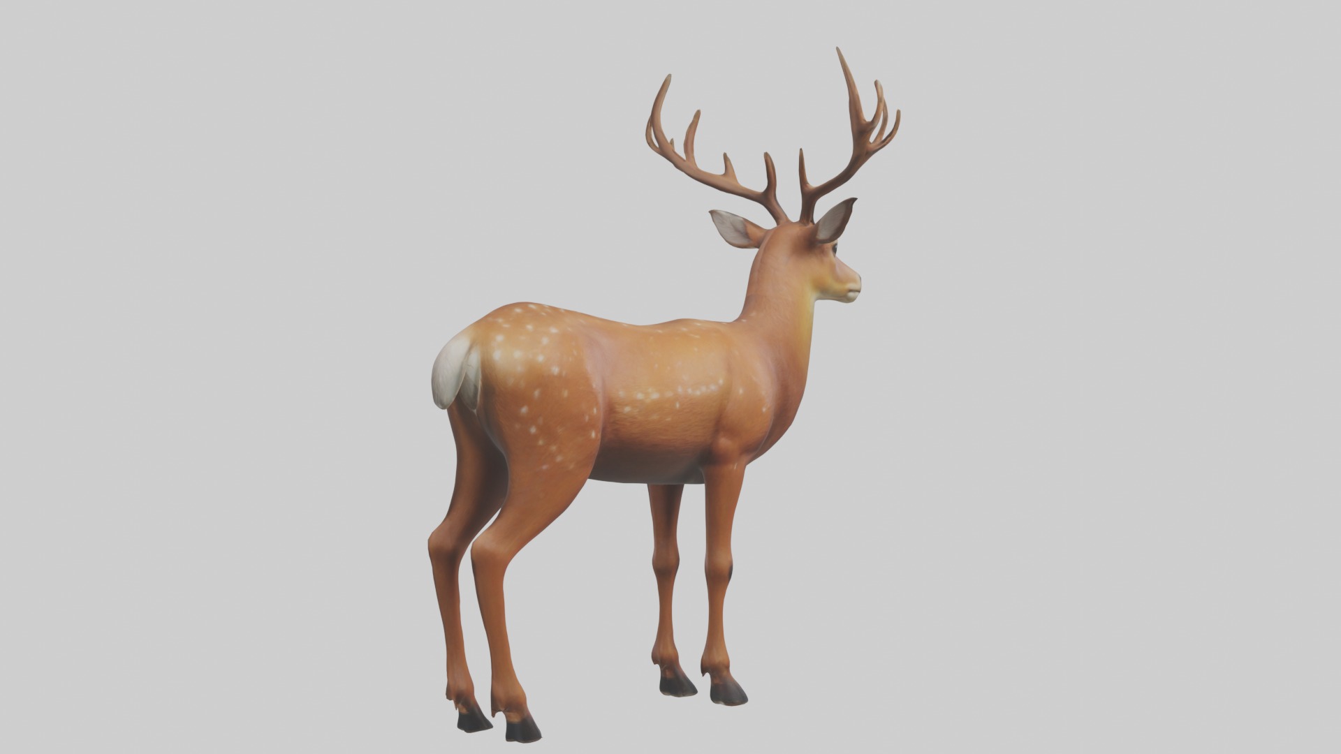 Standing Deer Model Low-poly 3D model_5