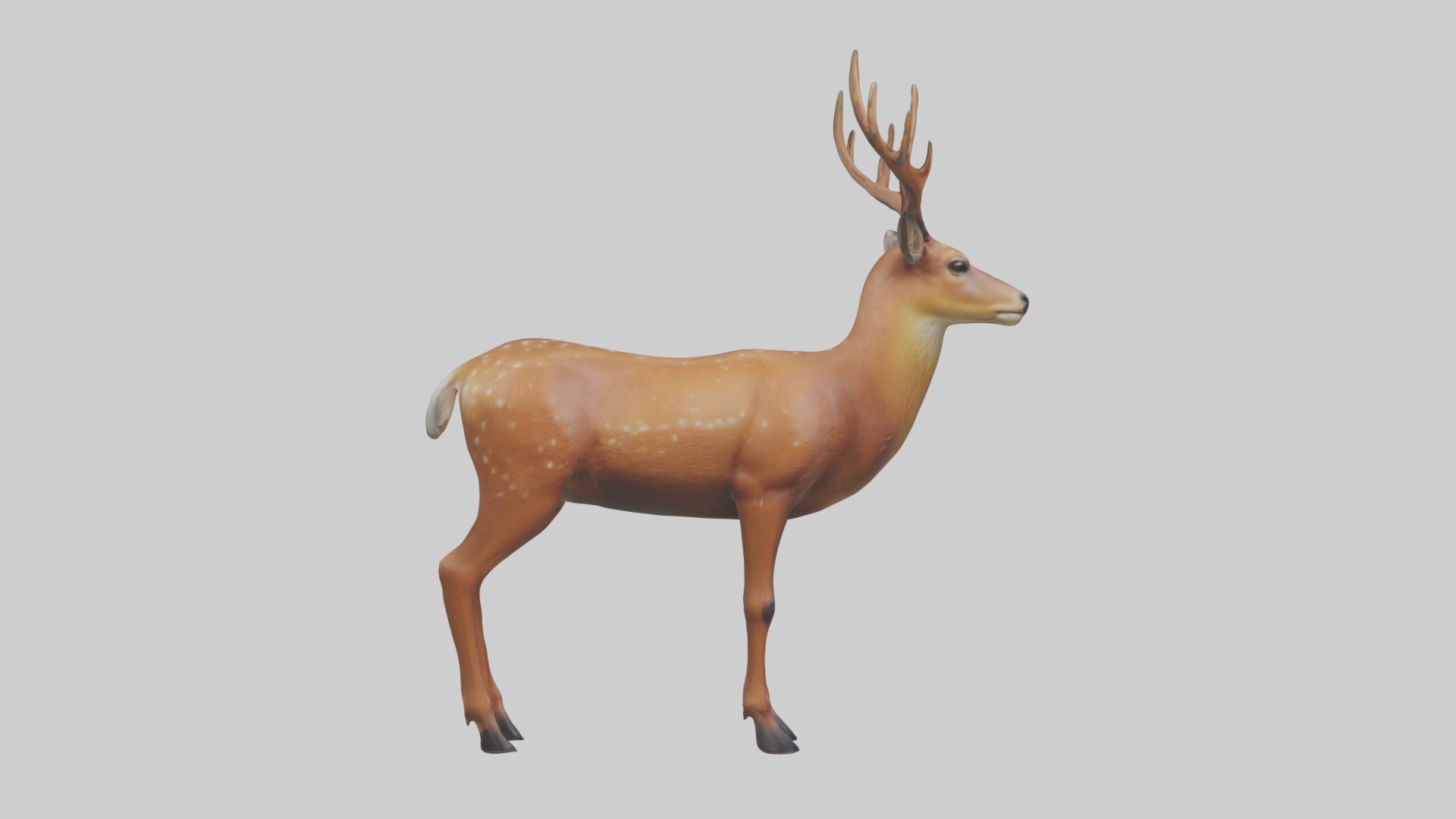 Standing Deer Model Low-poly 3D model_7