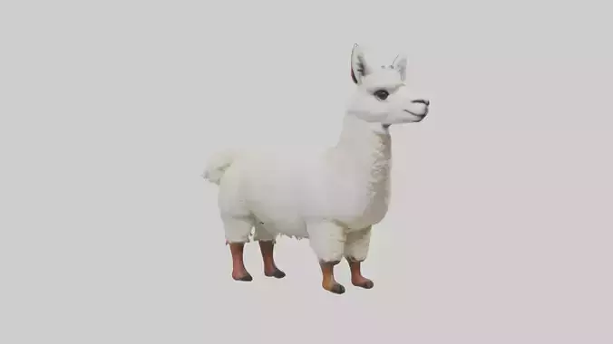 Standing Alpaca Model