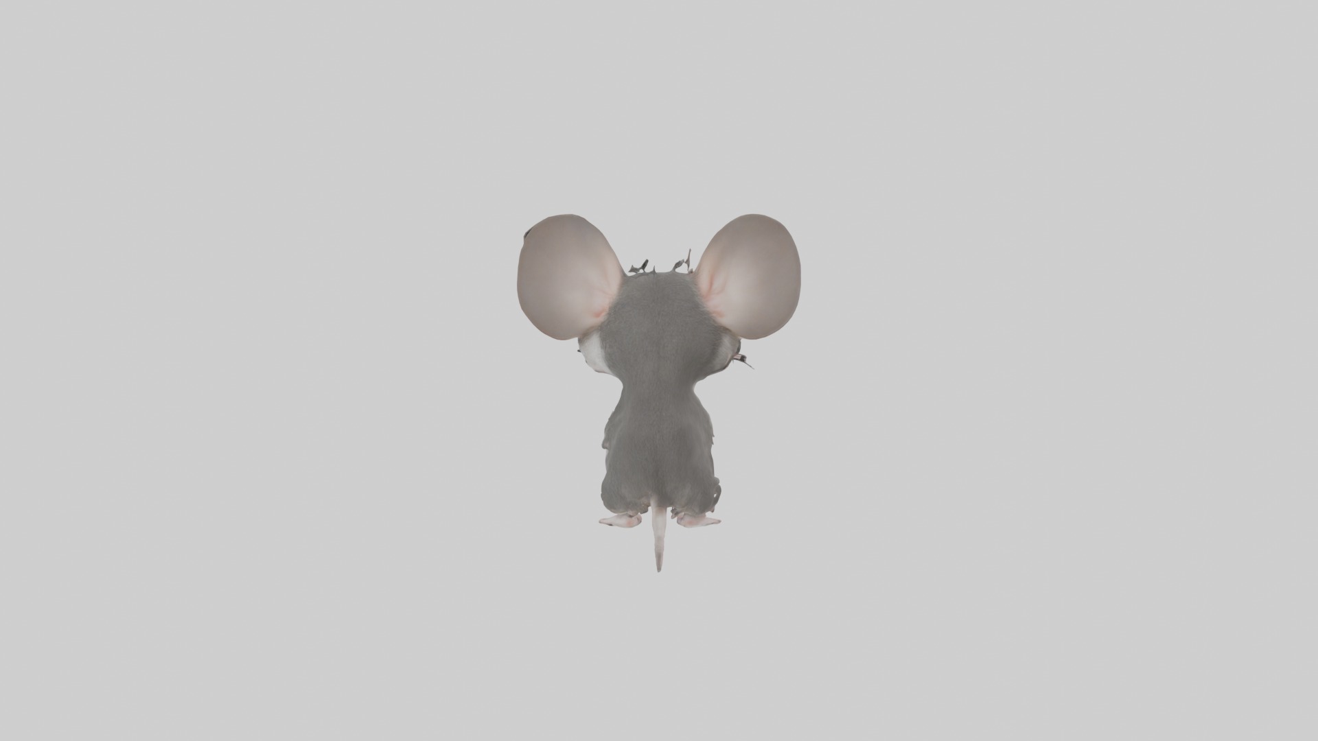Spiny mouse Low-poly 3D model_1