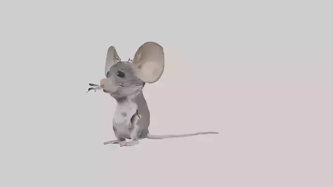Spiny mouse Low-poly 3D model