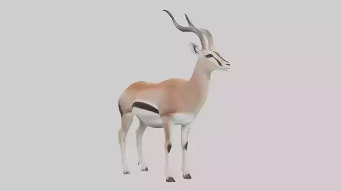 Spakes gazelle Low-poly 3D model