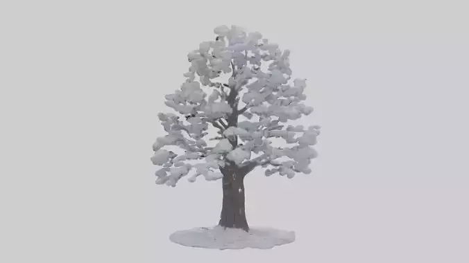 Snow covered tree Model