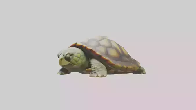 Sleeping Turtle Model Low-poly 3D model