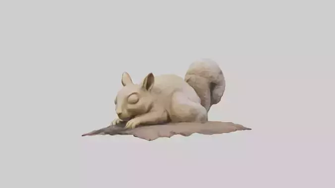 Sleeping Squirrel Model