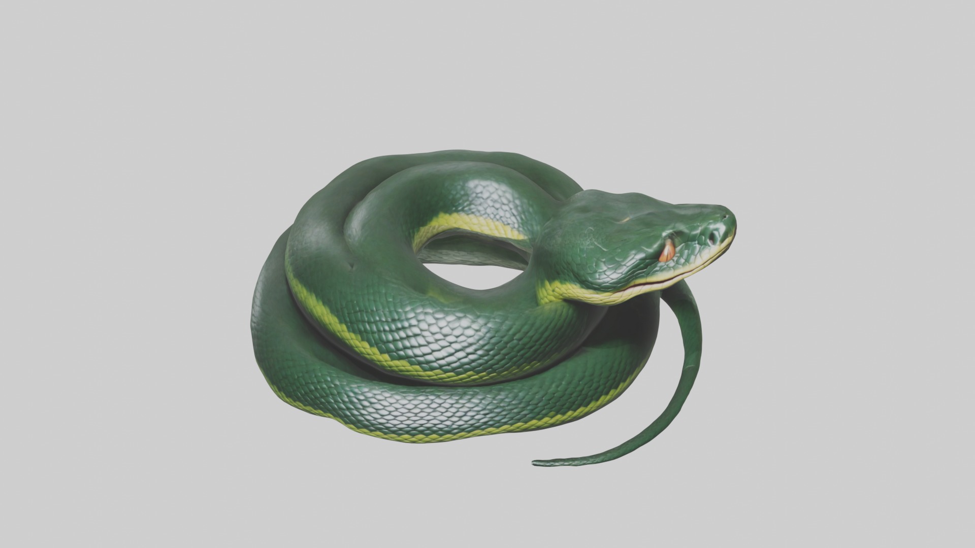 Sleeping Snake Model Low-poly 3D model_10