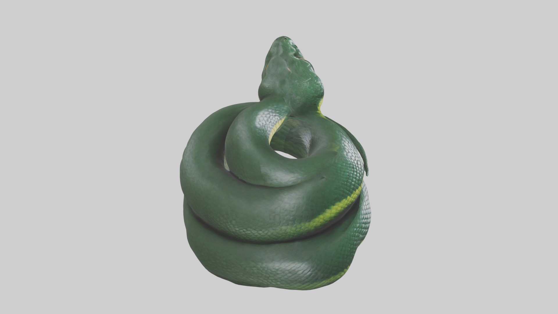 Sleeping Snake Model Low-poly 3D model_12