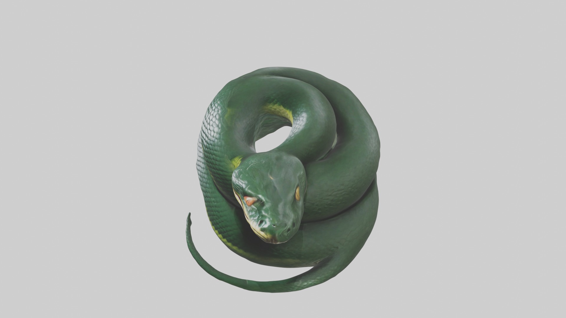Sleeping Snake Model Low-poly 3D model_11