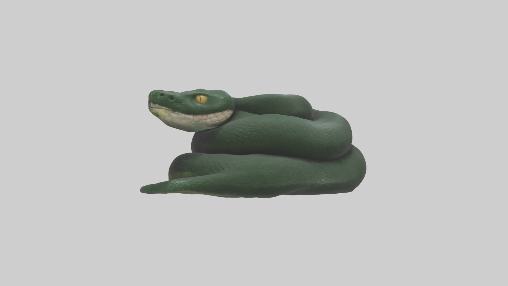 Sleeping Snake Model Low-poly 3D model_2