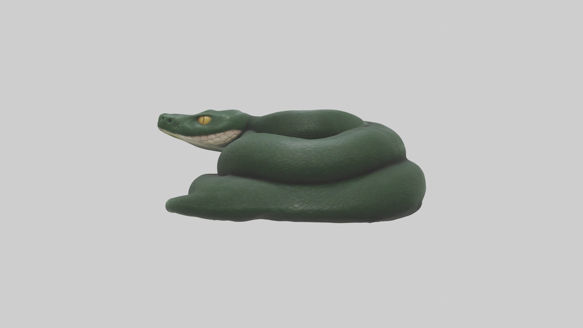 Sleeping Snake Model Low-poly 3D model_1