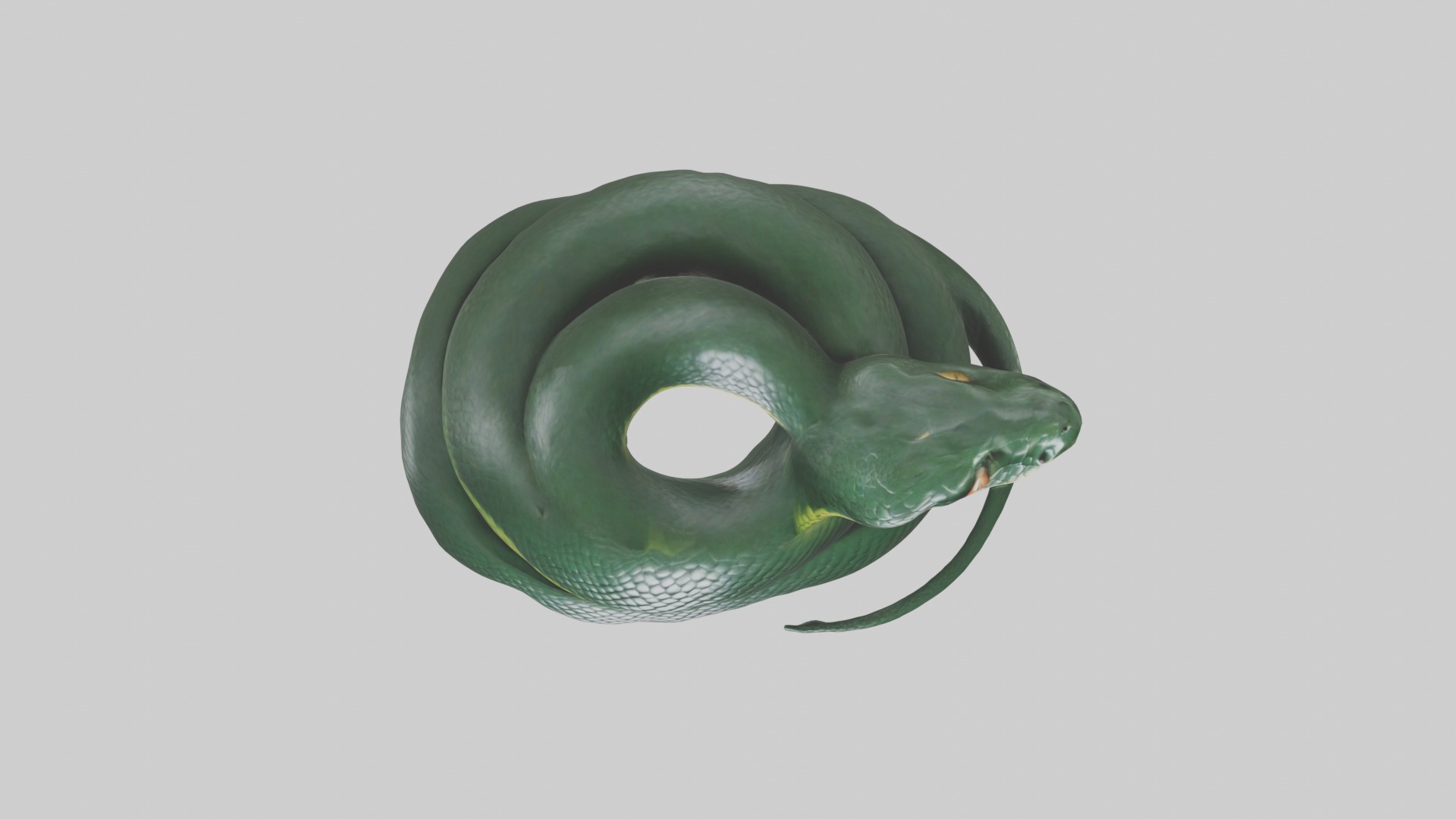 Sleeping Snake Model Low-poly 3D model_8