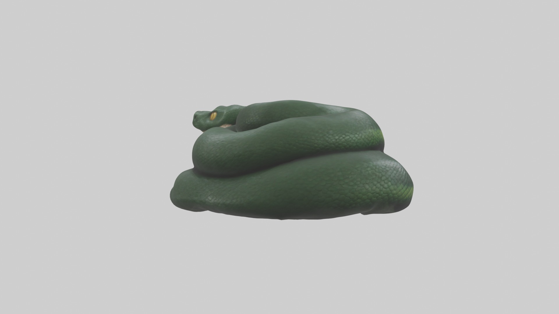 Sleeping Snake Model Low-poly 3D model_3