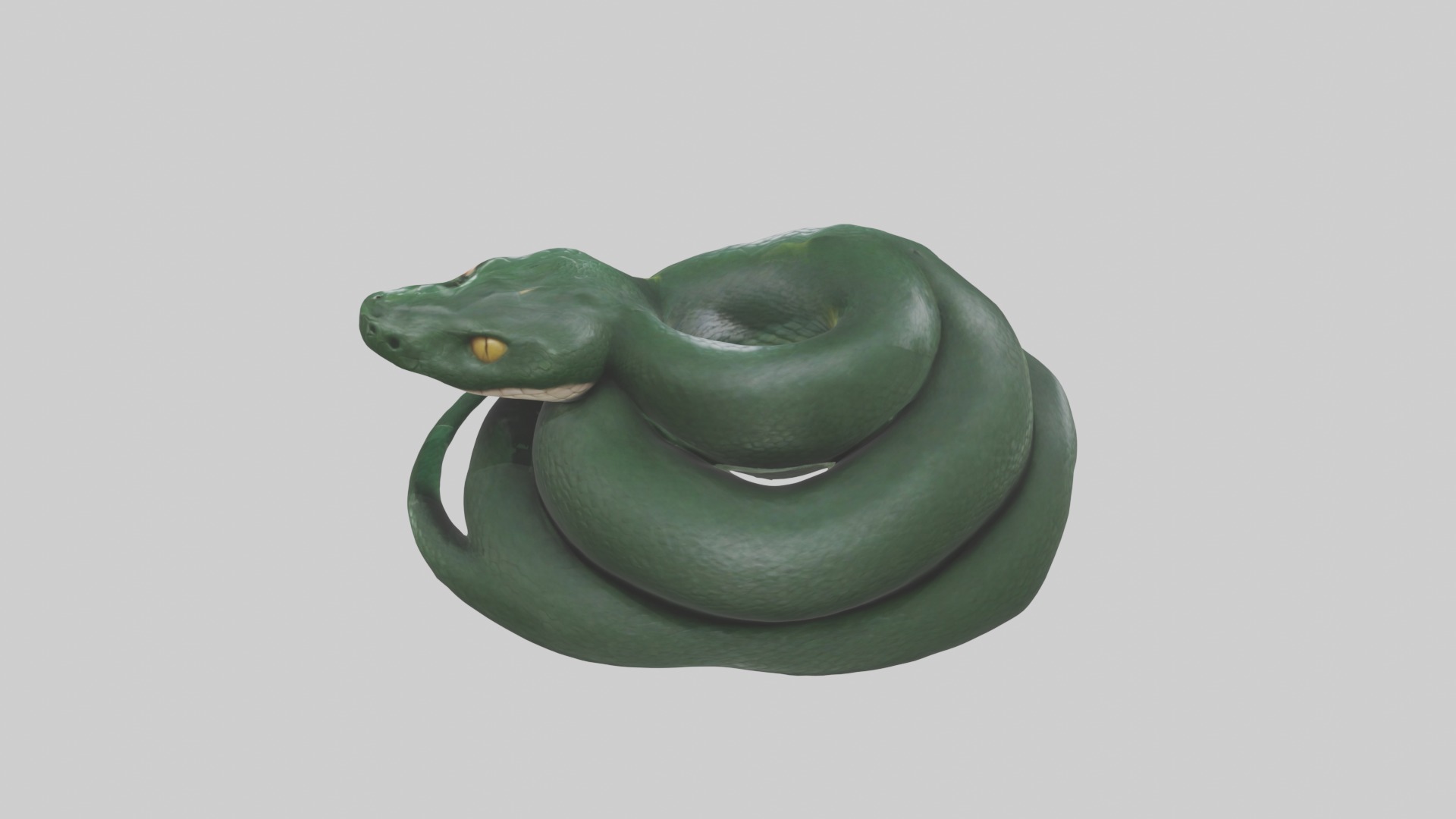 Sleeping Snake Model Low-poly 3D model_9