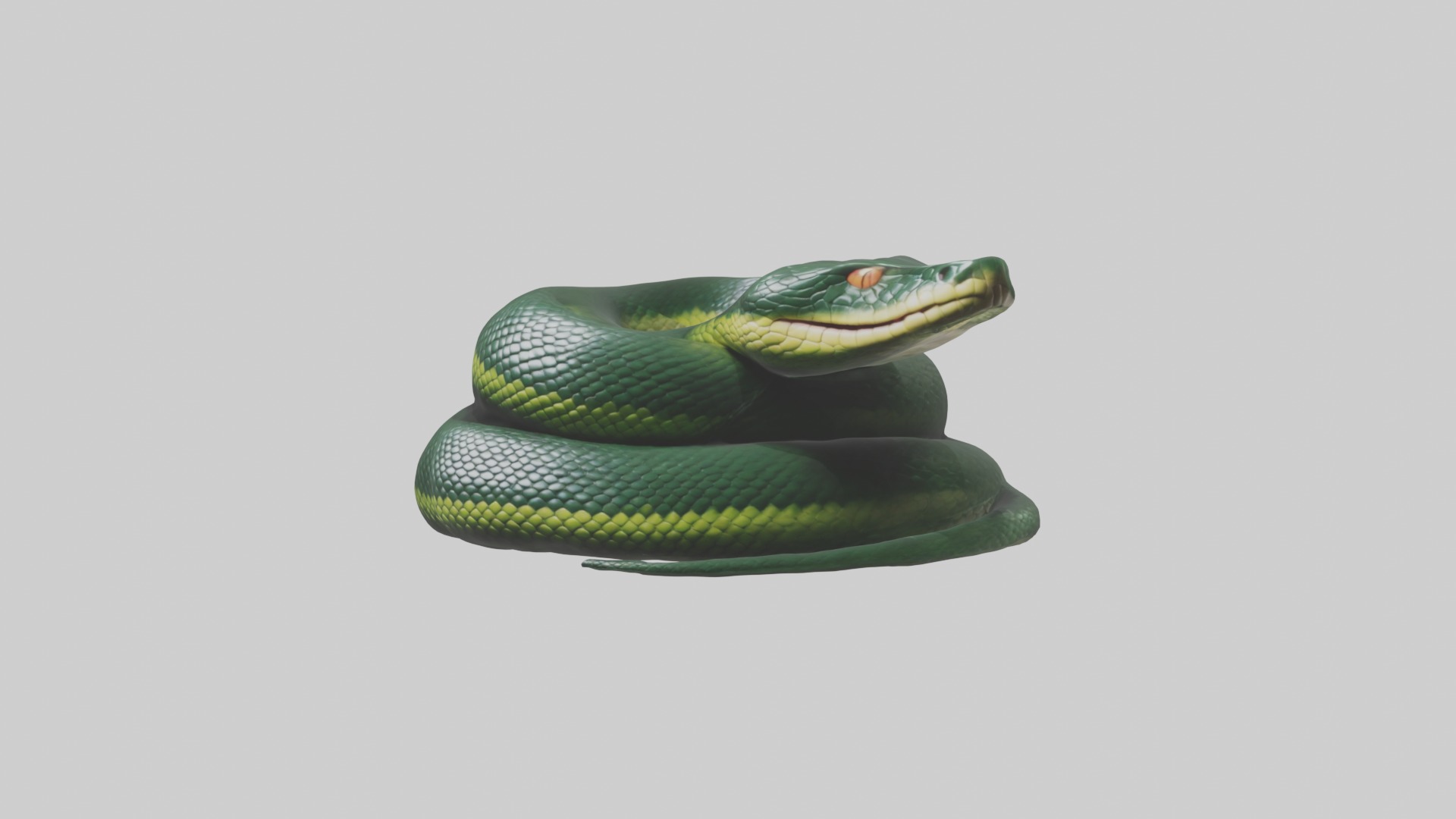Sleeping Snake Model Low-poly 3D model_4