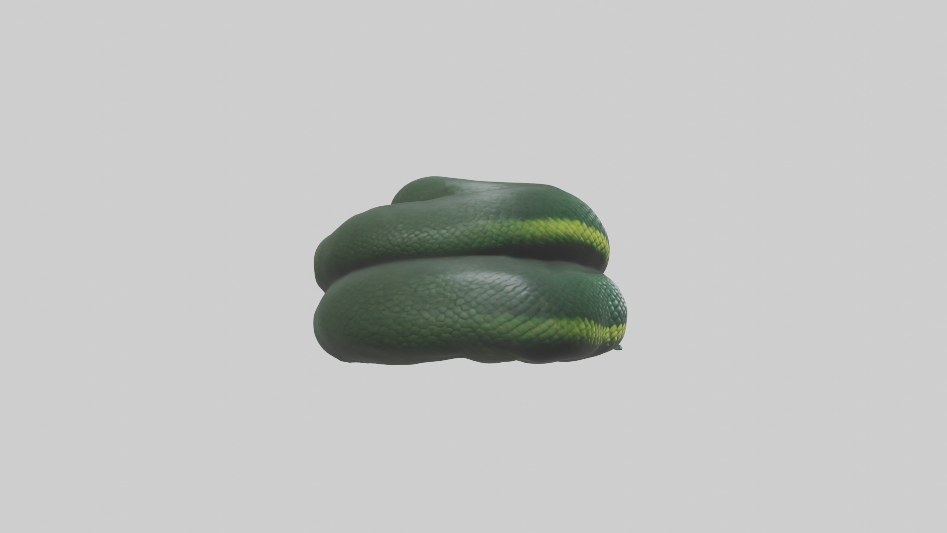 Sleeping Snake Model Low-poly 3D model_7