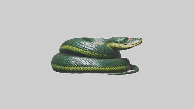 Sleeping Snake Model Low-poly 3D model