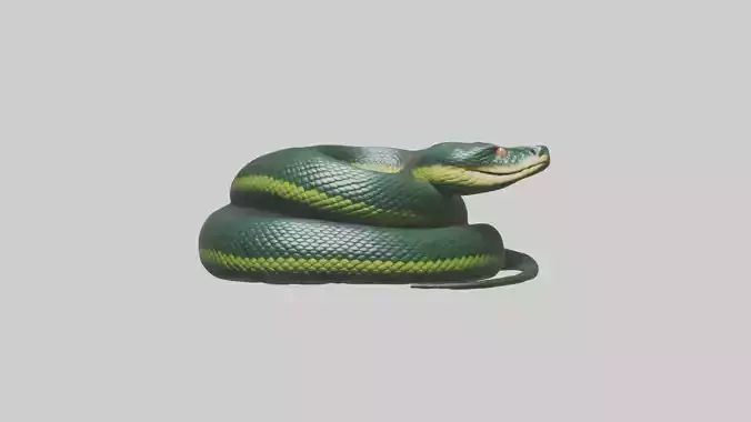 Sleeping Snake Model