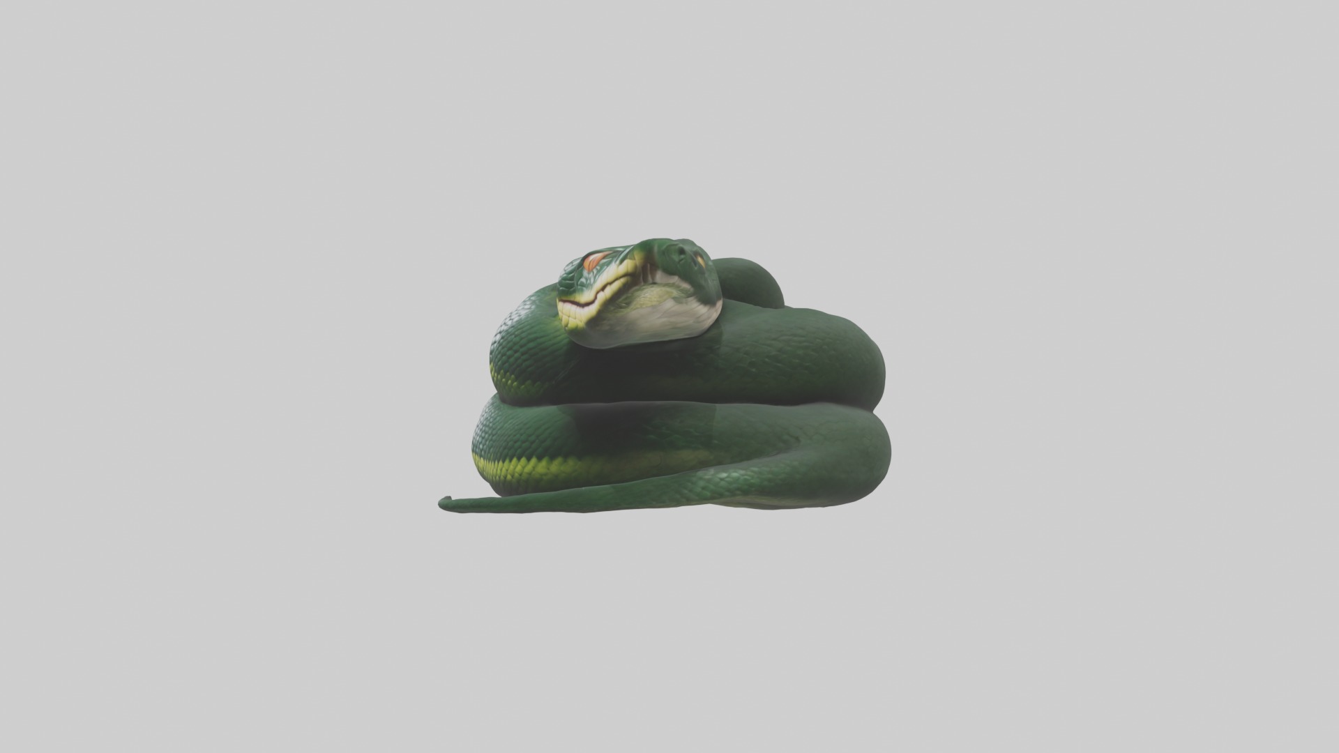 Sleeping Snake Model Low-poly 3D model_6