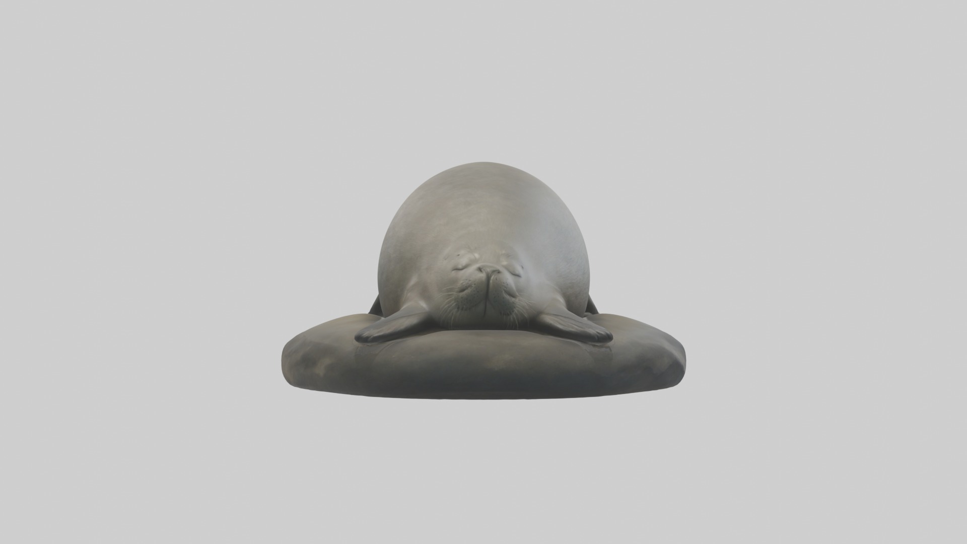 Sleeping Seal Model Low-poly 3D model_1