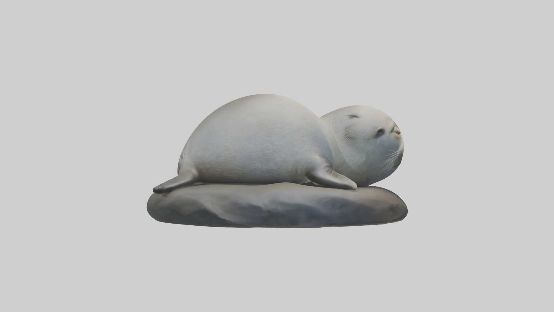Sleeping Seal Model Low-poly 3D model_7