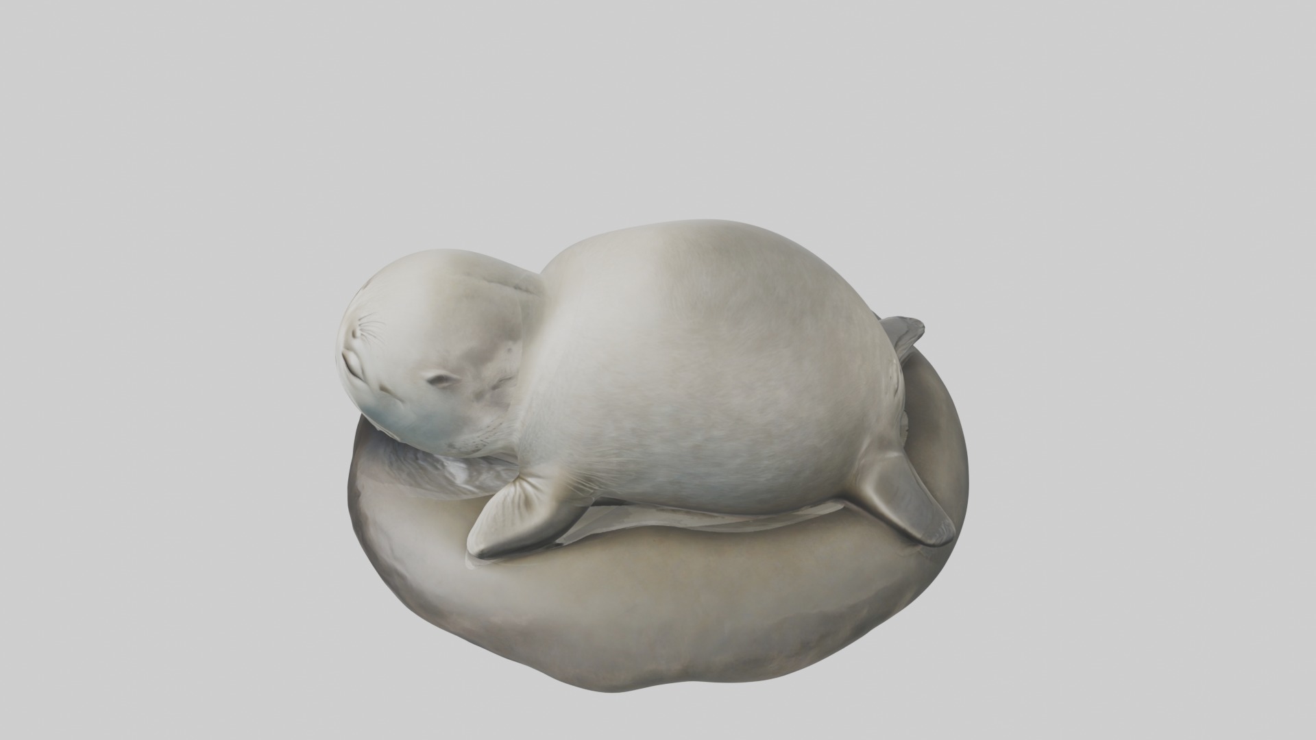 Sleeping Seal Model Low-poly 3D model_11