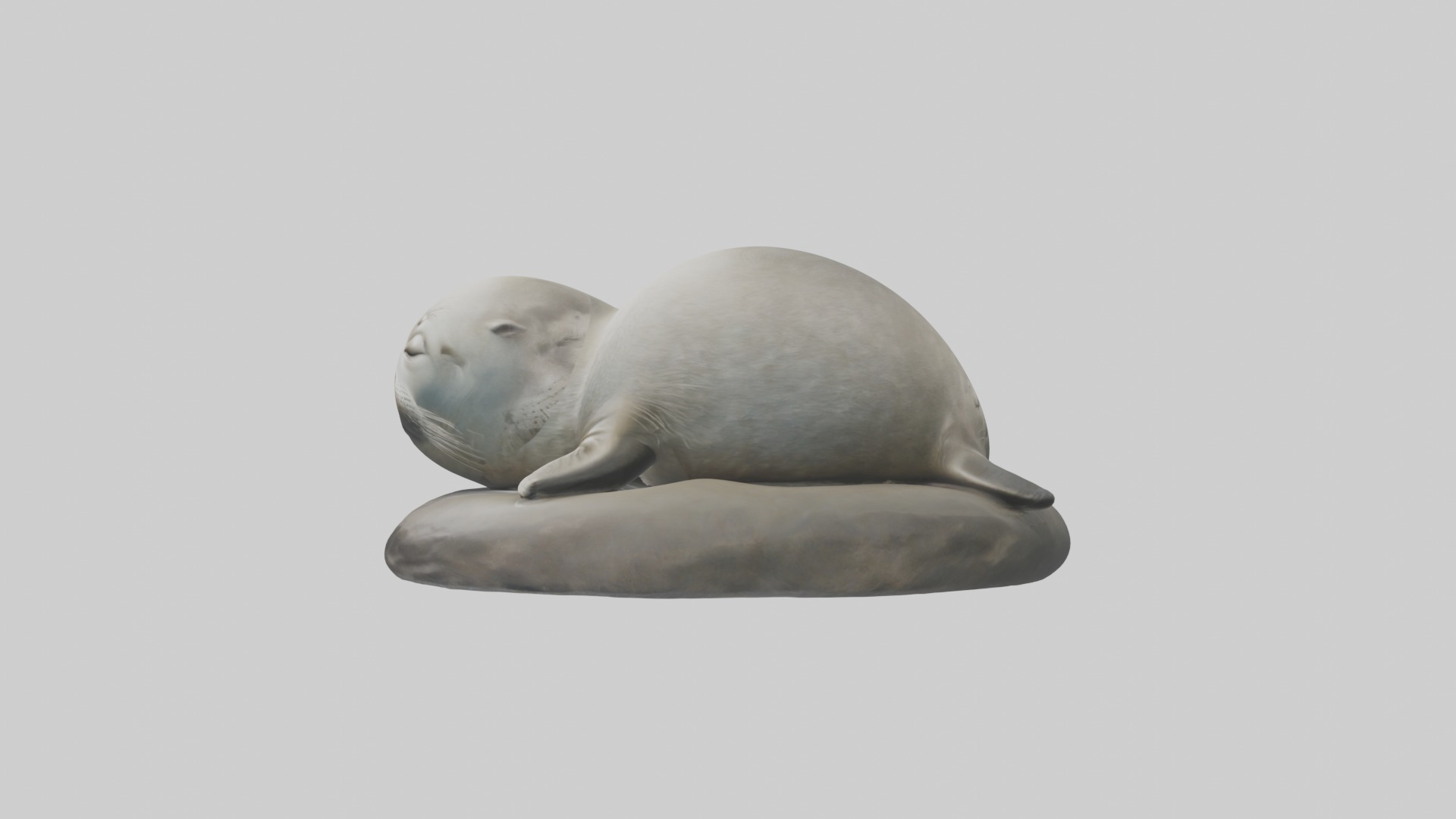 Sleeping Seal Model Low-poly 3D model_6