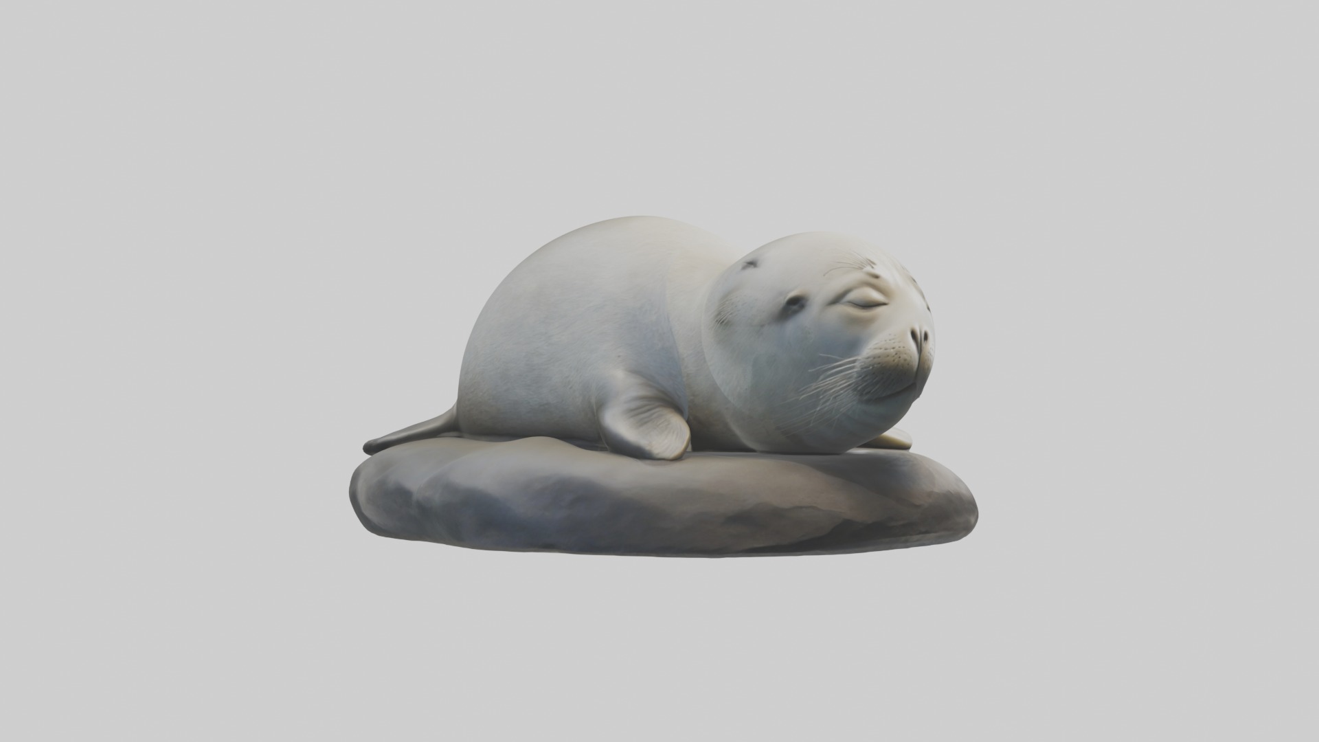 Sleeping Seal Model Low-poly 3D model_5