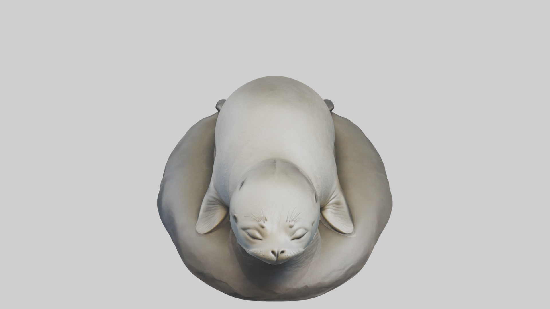 Sleeping Seal Model Low-poly 3D model_10