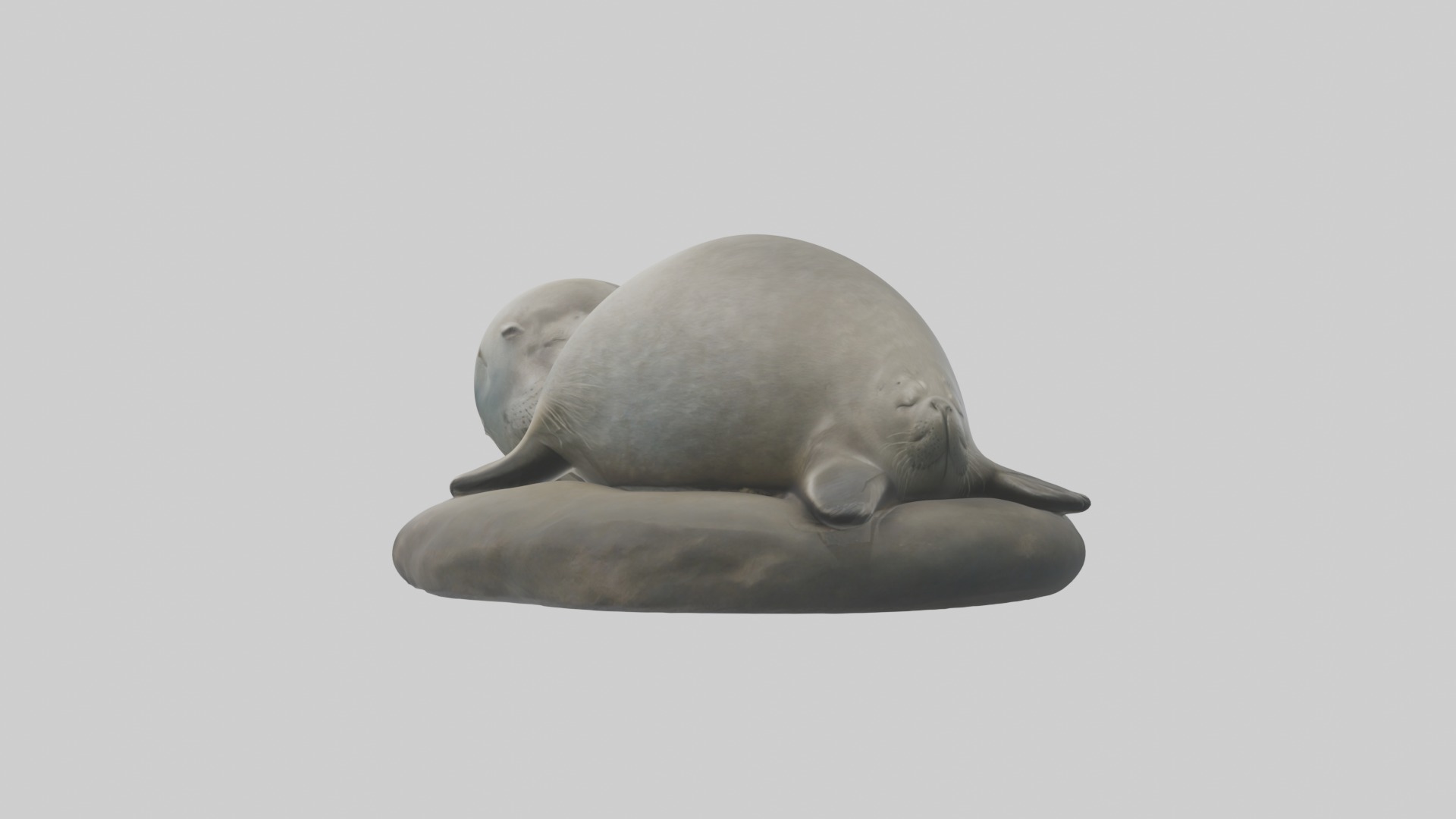 Sleeping Seal Model Low-poly 3D model_2
