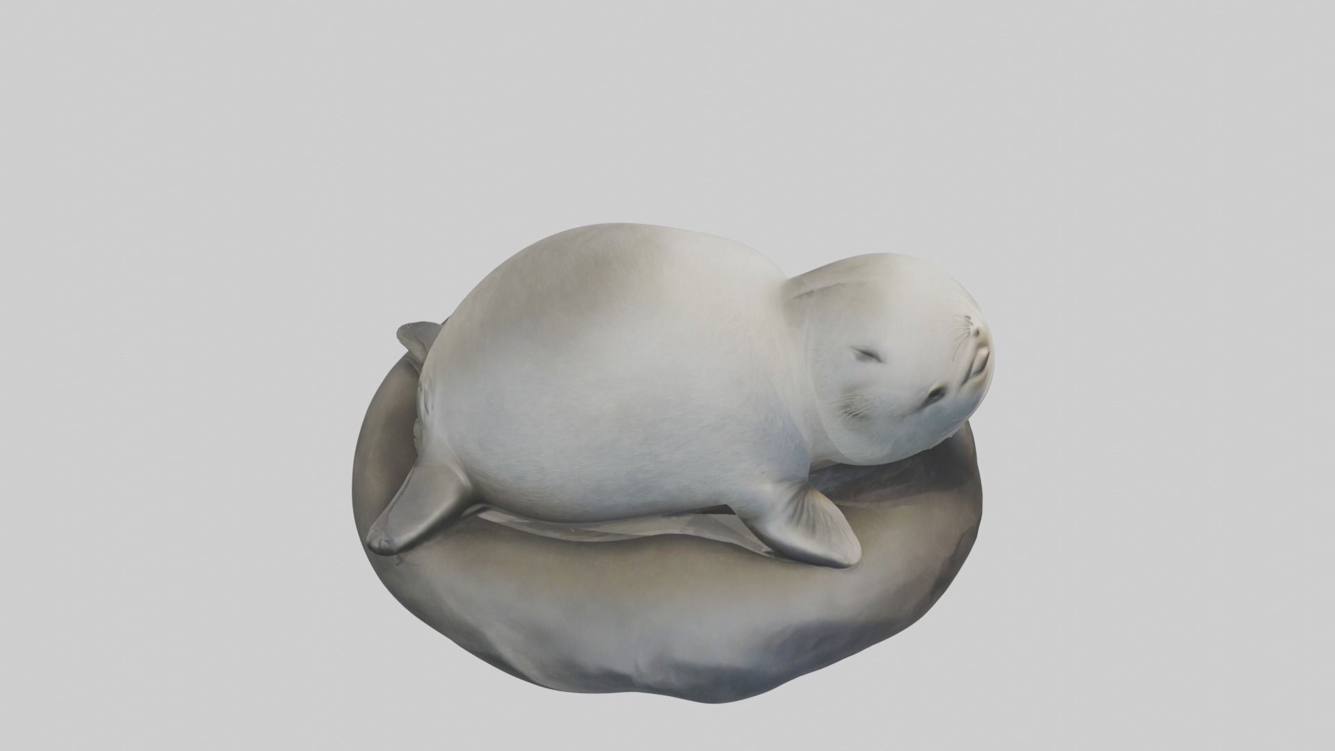 Sleeping Seal Model Low-poly 3D model_12