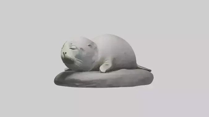 Sleeping Seal Model