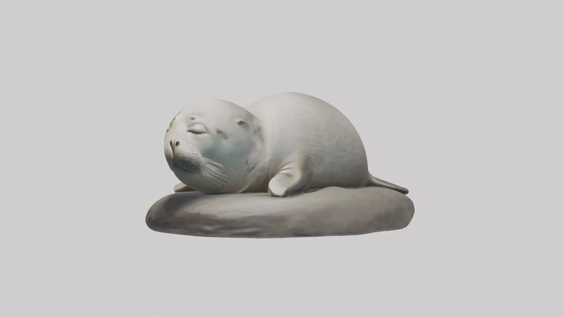 Sleeping Seal Model Low-poly 3D model_0