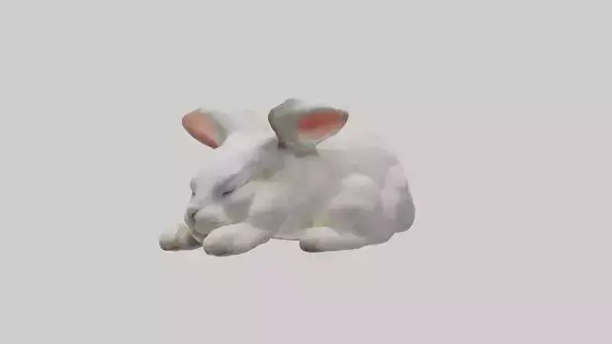 Sleeping Rabbit Model
