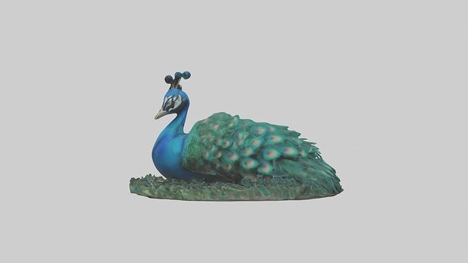 Sleeping Peacock Model Low-poly 3D model