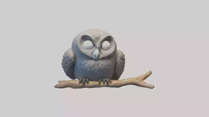 Sleeping Owl Model