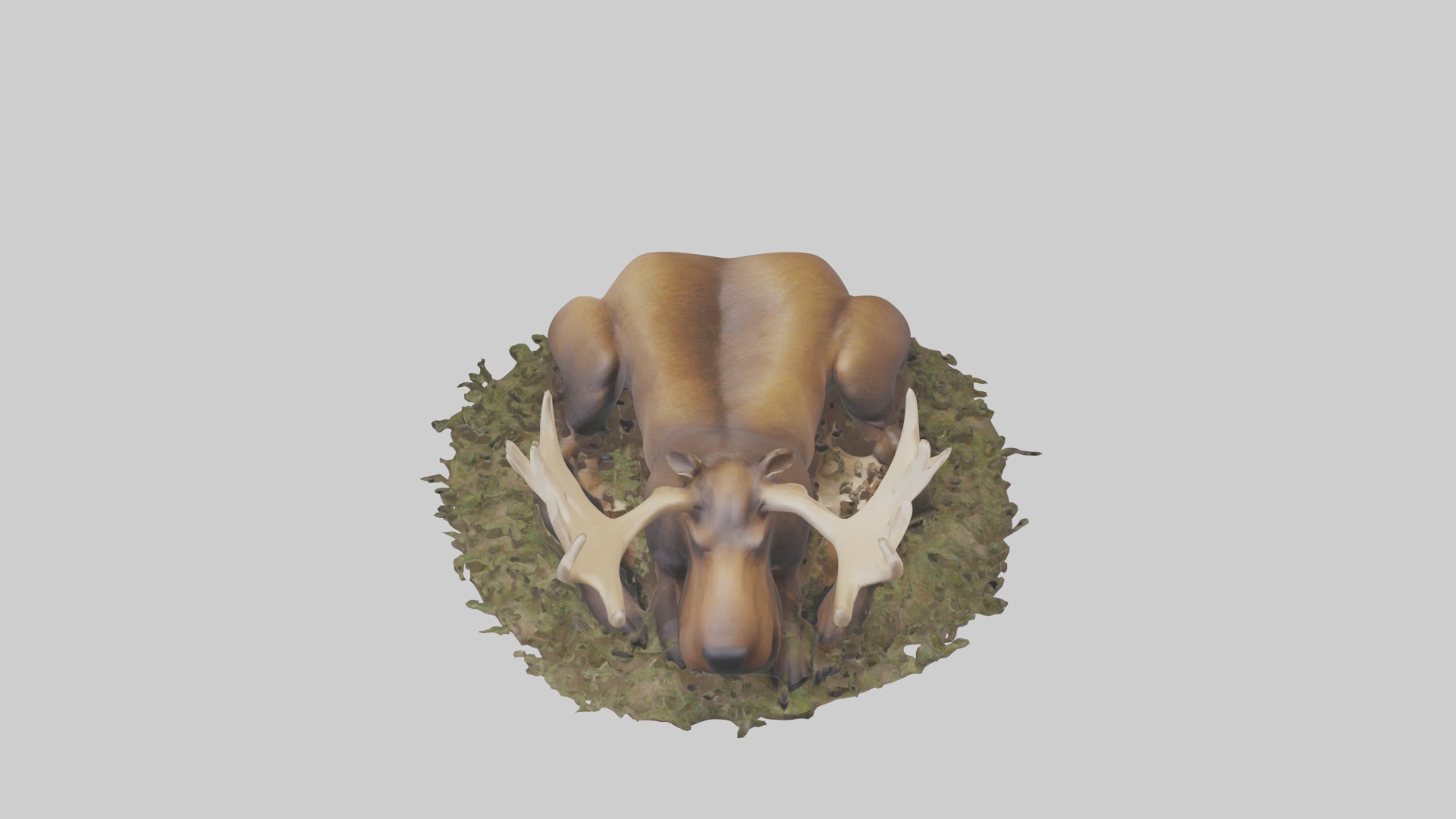 Sleeping Moose Model Low-poly 3D model_10