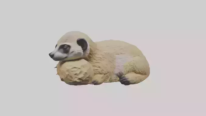 Sleeping Meerkat Model