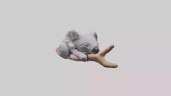 Sleeping Koala Model